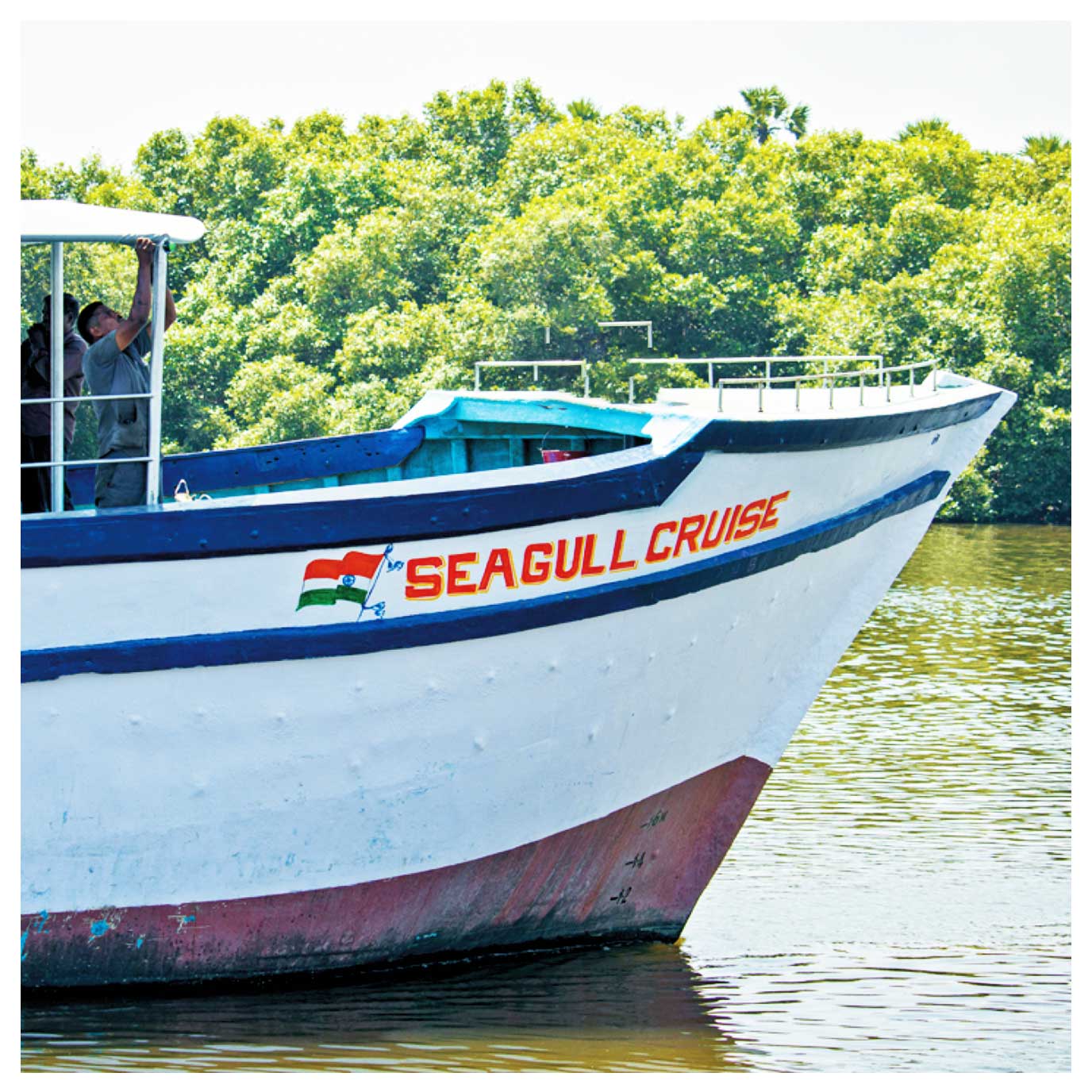 Seagull Cruise Boating Ride 2 - Pondicherry