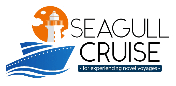 Seagull Cruise
